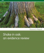 Shake in Oak: An Evidence Review